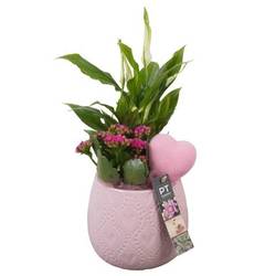 Spath.Arr PTVMB2297 T14 H033