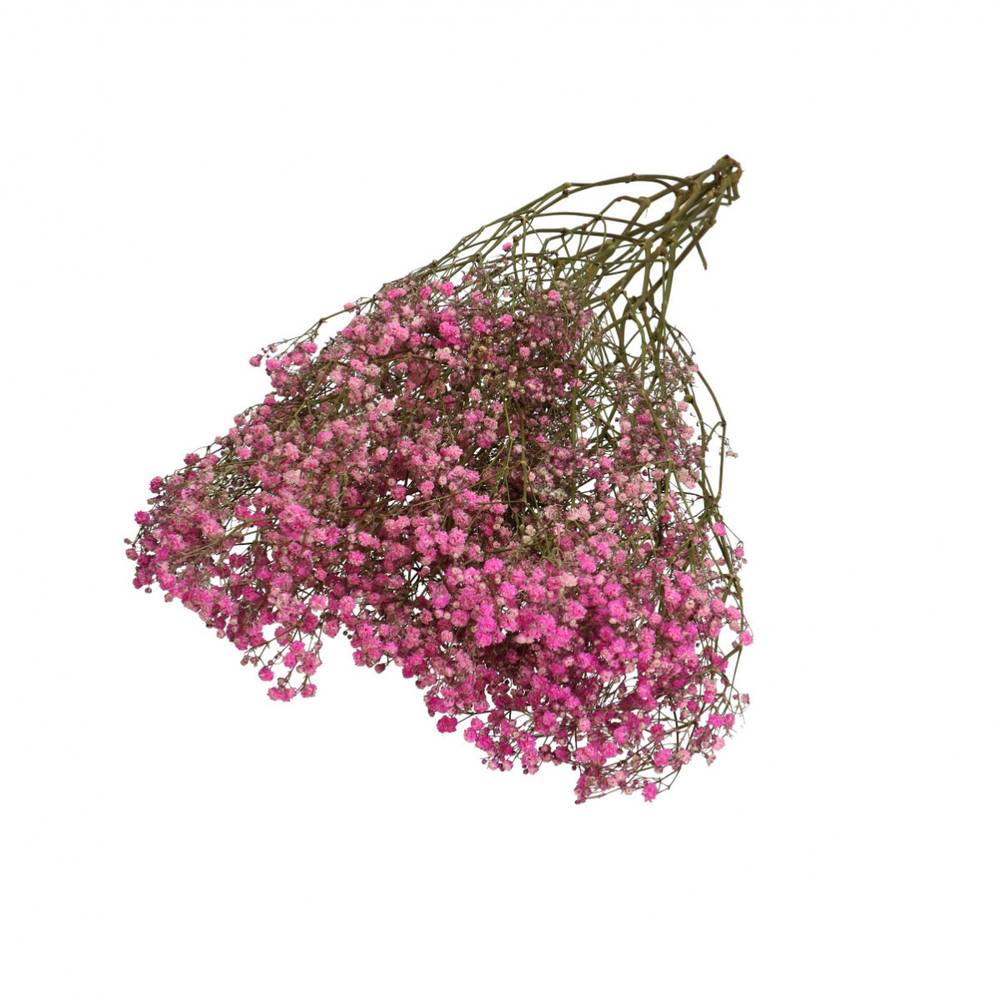 Trocken Gyps dunkel rosa L70cm 50gr