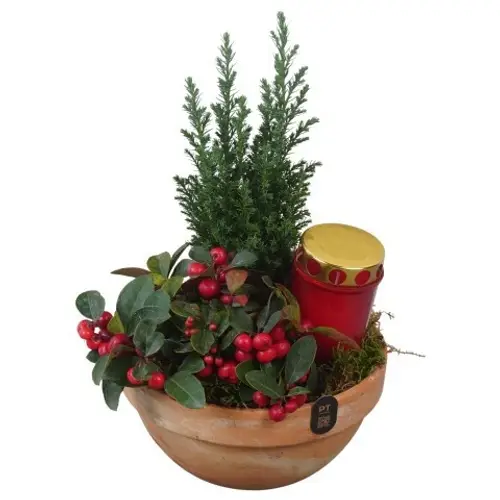 Garten.Arr PTAH3080 Allerheiligen T19 H032