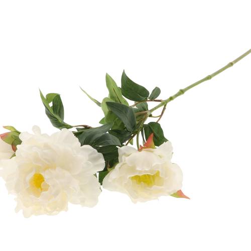 Seiden Pfingstrose weiss L70cm