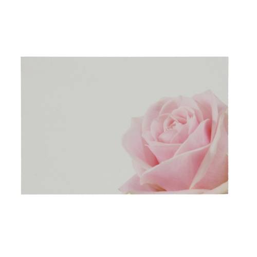 Karte Rose rosa 09x06cm x50