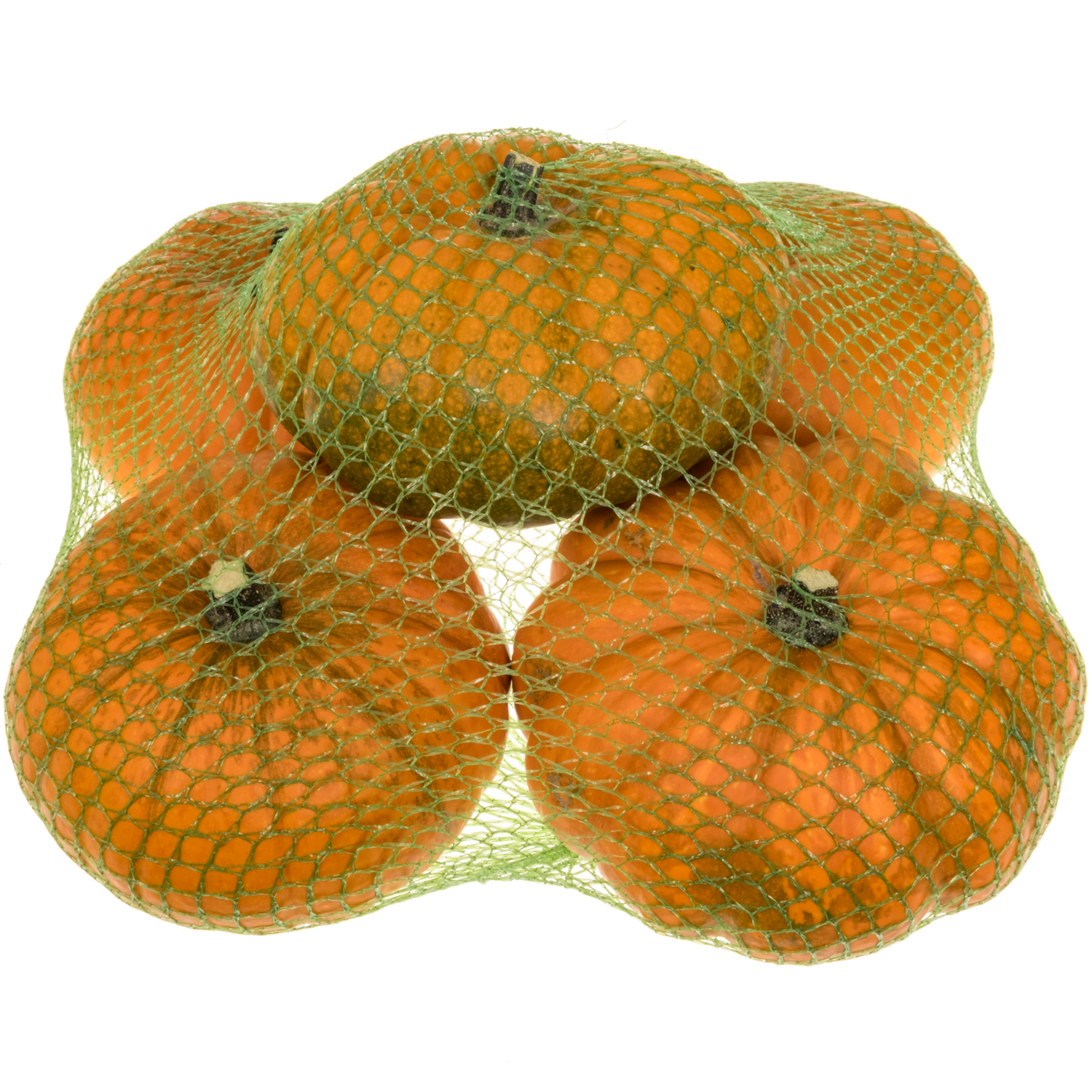 Zierkürbis orange Plat 13cm