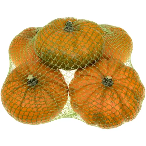 Zierkürbis orange Plat 13cm