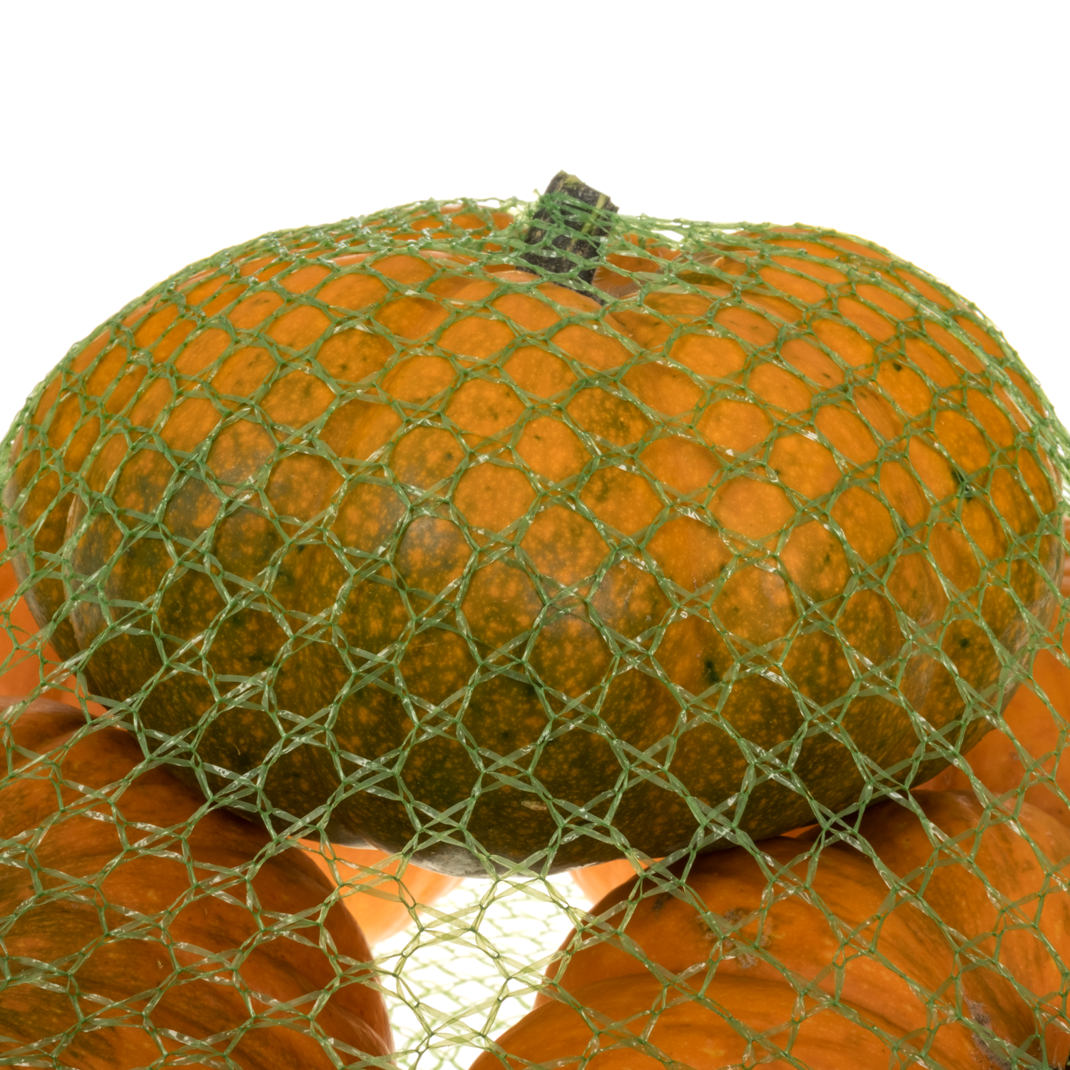 Zierkürbis orange Plat 13cm