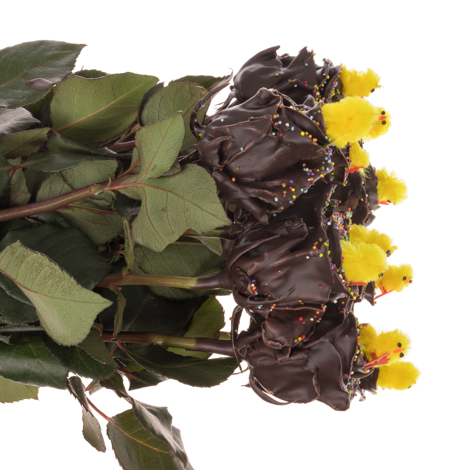 Rose wachs braun Choco gelb Chicken 70cm duftend