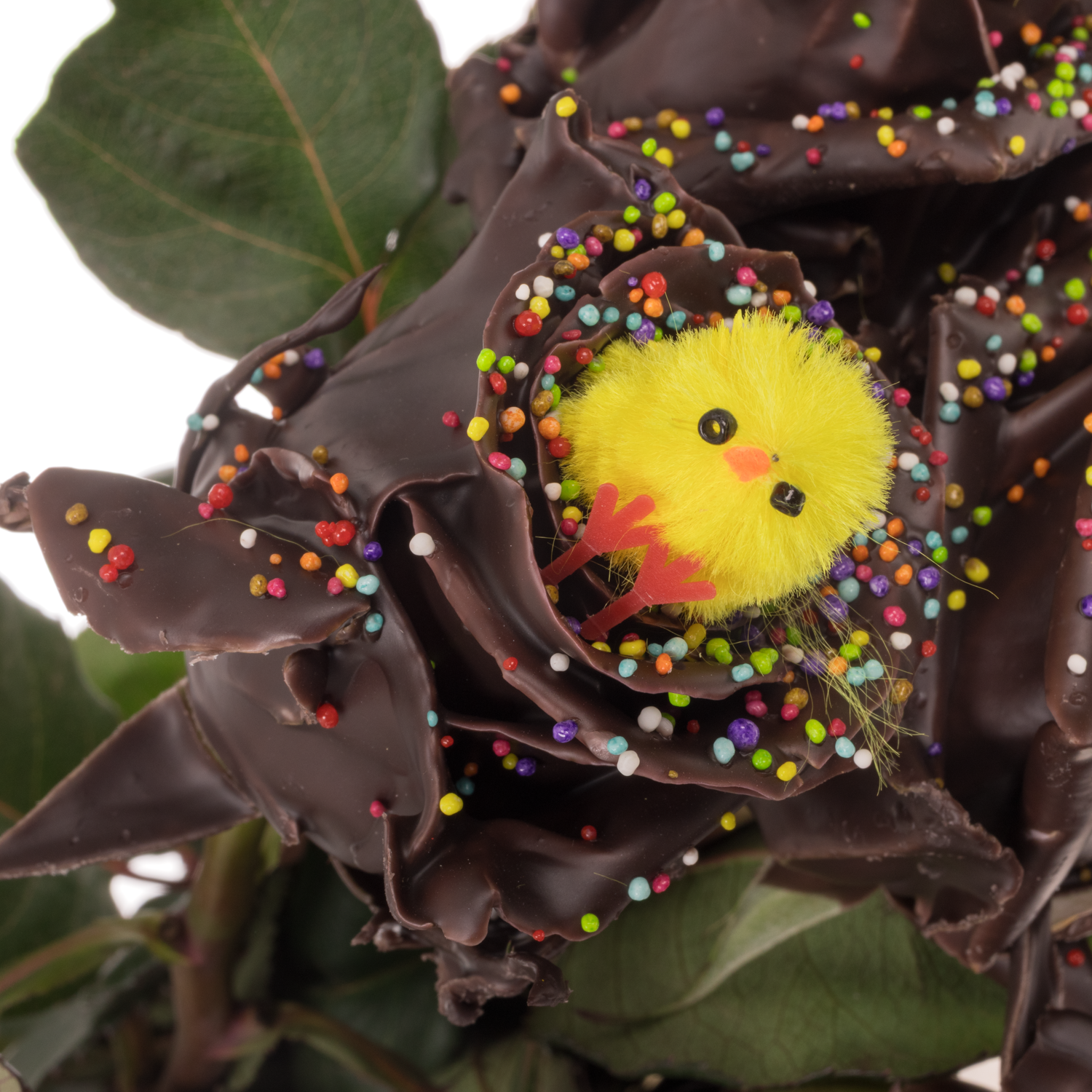 Rose wachs braun Choco gelb Chicken 70cm duftend