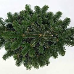 Grabdecke Nordmann Kompakt ohne Deko (1008) 65x45cm