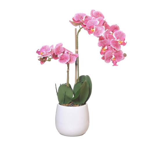 Orchidee im Keramiktopf rosa H58cm