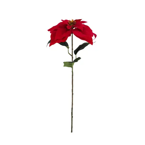 Seiden Weihnachtsstern rot L72cm