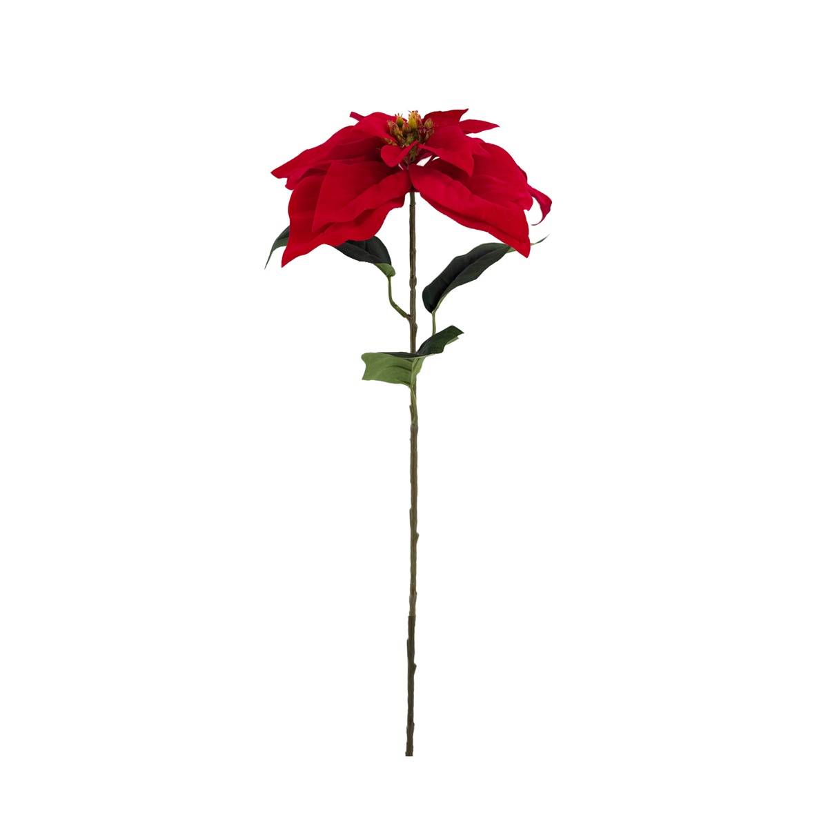 Seiden Weihnachtsstern rot L72cm (Seiden Weihnachtsdeko) | Heyl -  Blumengrohandel / Floristikgrohandel
