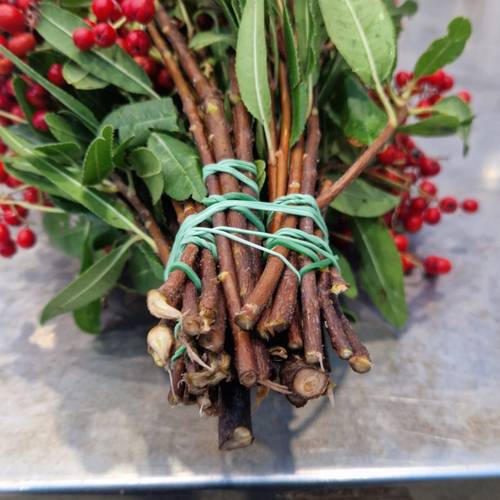 Photinia rot Frucht 250 Gramm