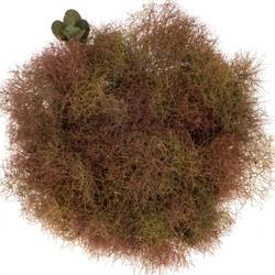 Perucken weinrot Magical Torch 50cm