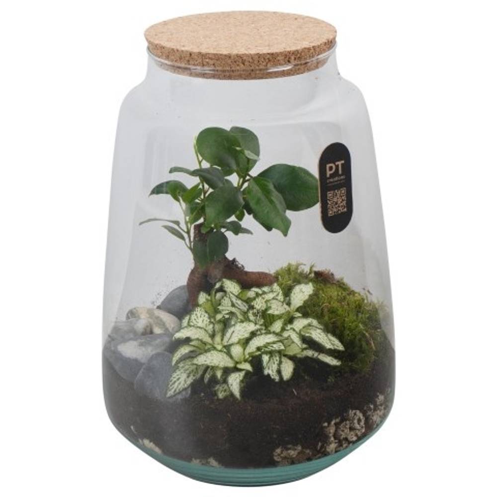 Flor.Arr PTTER8136 T17 H026