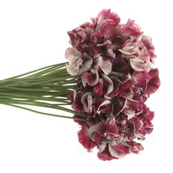 Wicken bordeaux/ws Maroon 40cm