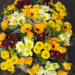 Strauß Raven gelb 50cm 12 Stiele