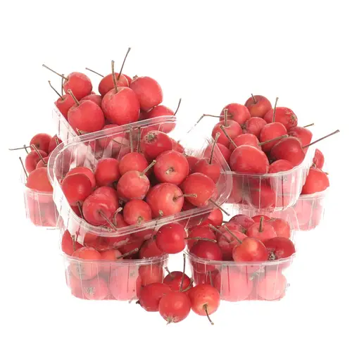Aepfelchen Mini rot