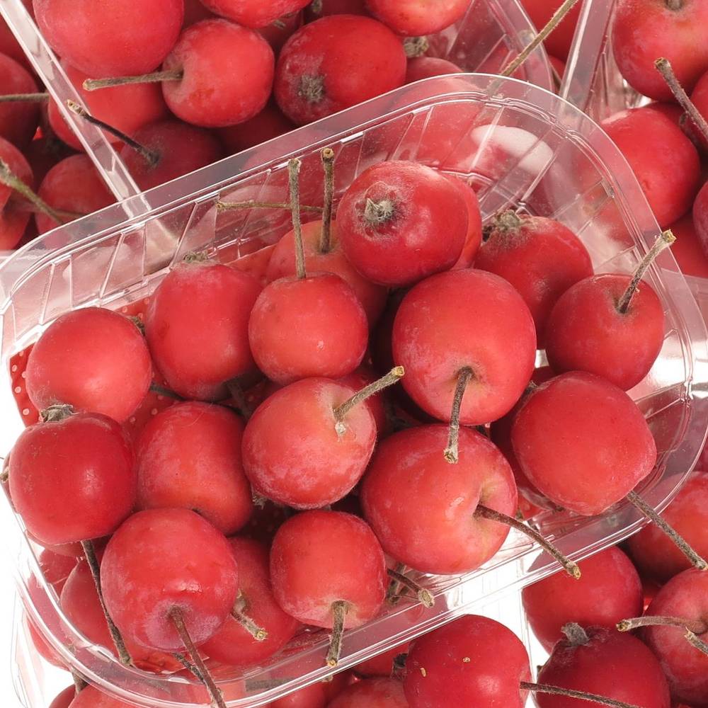 Aepfelchen Mini rot