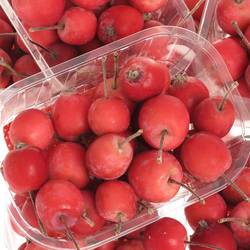 Aepfelchen Mini rot
