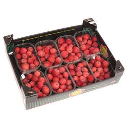 Aepfelchen Mini rot