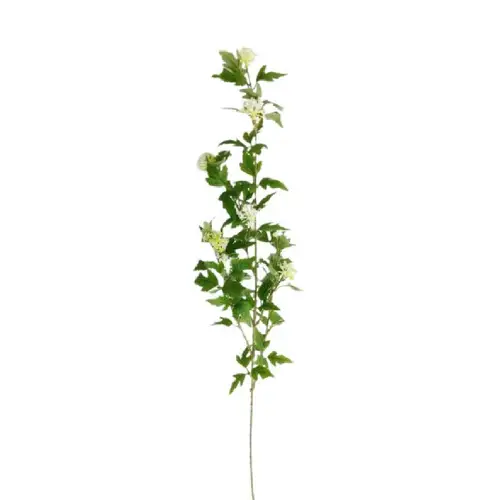 Seiden Eukalyptus weiss L90cm 