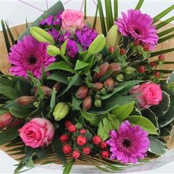Strauß lila Rosen Speciaal 50cm 21 Stiele