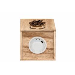 Kunstpflanze mit LED-Beleuchtung mix 08x08x18cm