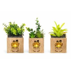 Kunstpflanze mit LED-Beleuchtung mix 08x08x18cm