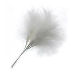 Feder auf Draht weiss 25cm x6