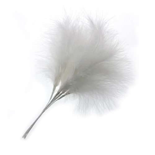 Feder auf Draht weiss 25cm x6
