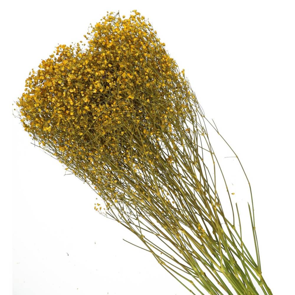 Trocken Gyps gelb L70cm 50gr