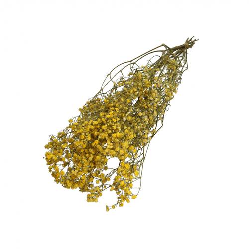 Trocken Gyps gelb L70cm 50gr