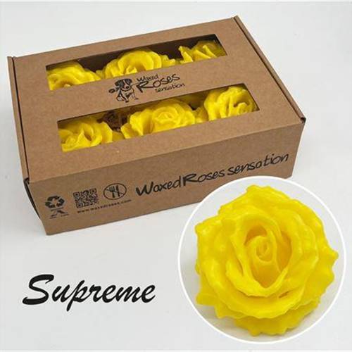 Seiden Wachs Rose Supreme gelb
