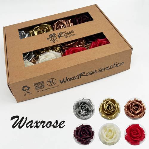 Seiden Wachs Rose mix