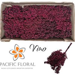 Pfeffer Berry weinrot Vino gefärbt 160 Gramm