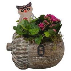 Kal.Arr PTHI3271 Herbst T17 H018