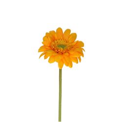 Seiden Gerbera gelb L55cm