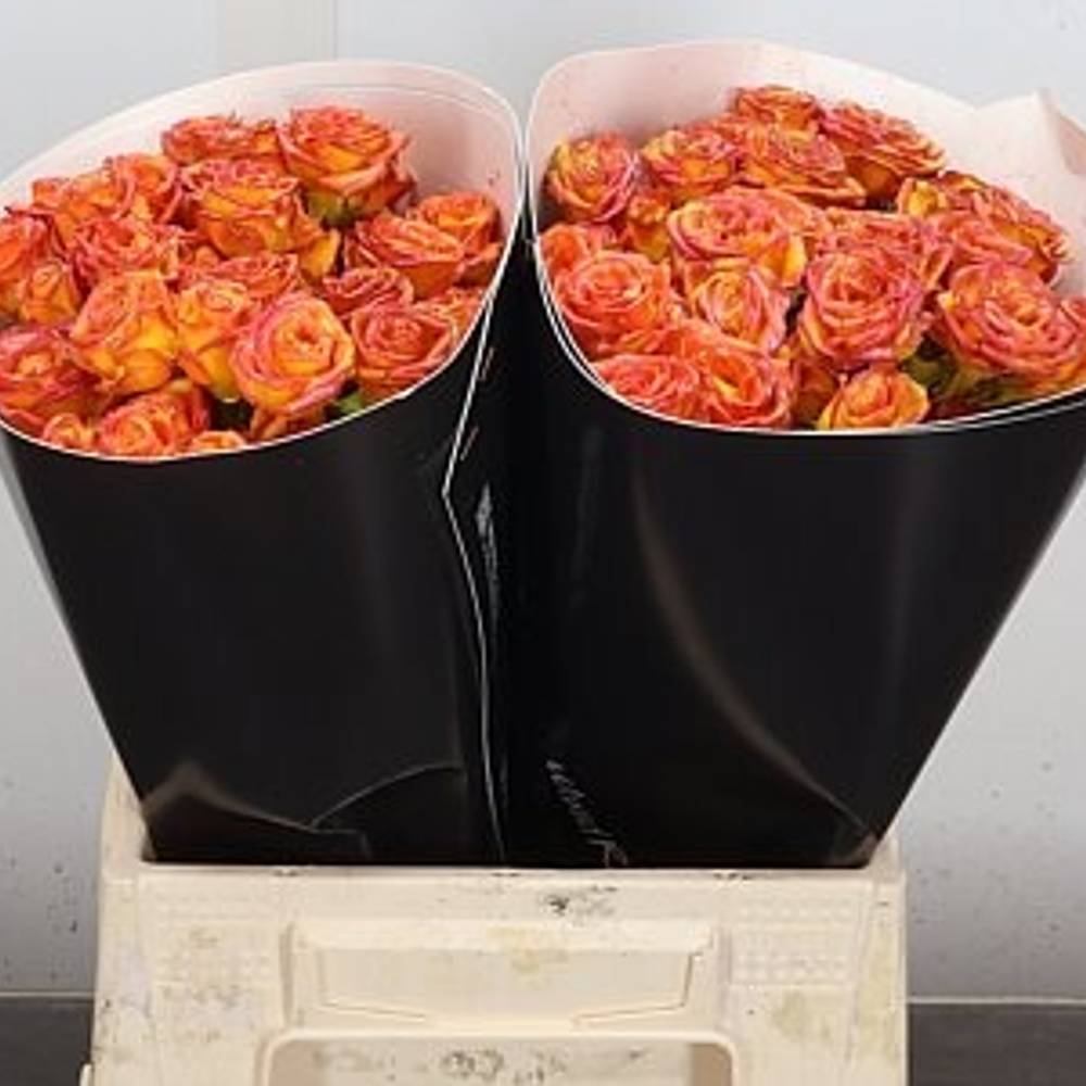 Rose verzweigt gelb/rot Wachs Flaming Gold 40cm