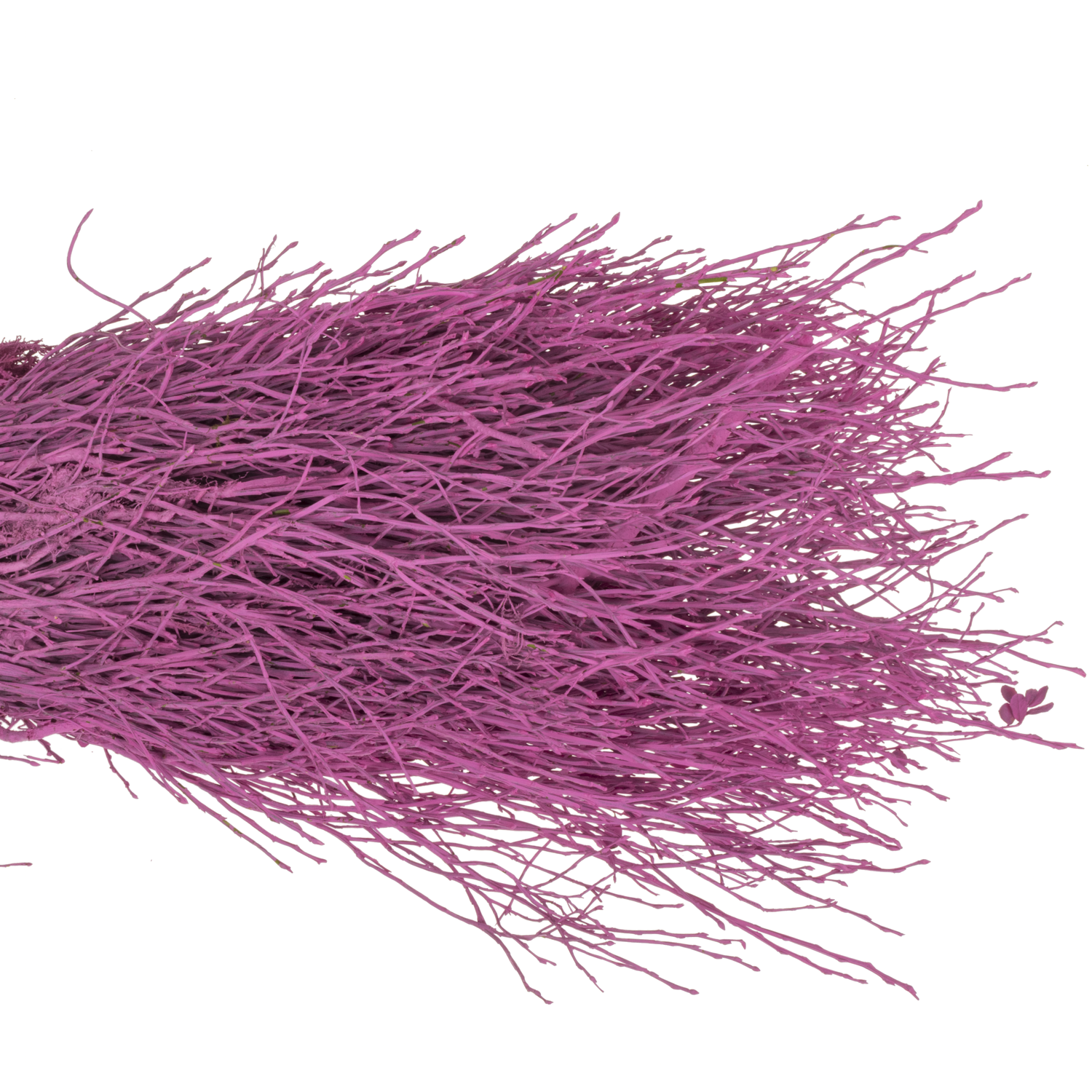 Heidelbeere cerise gefärbt