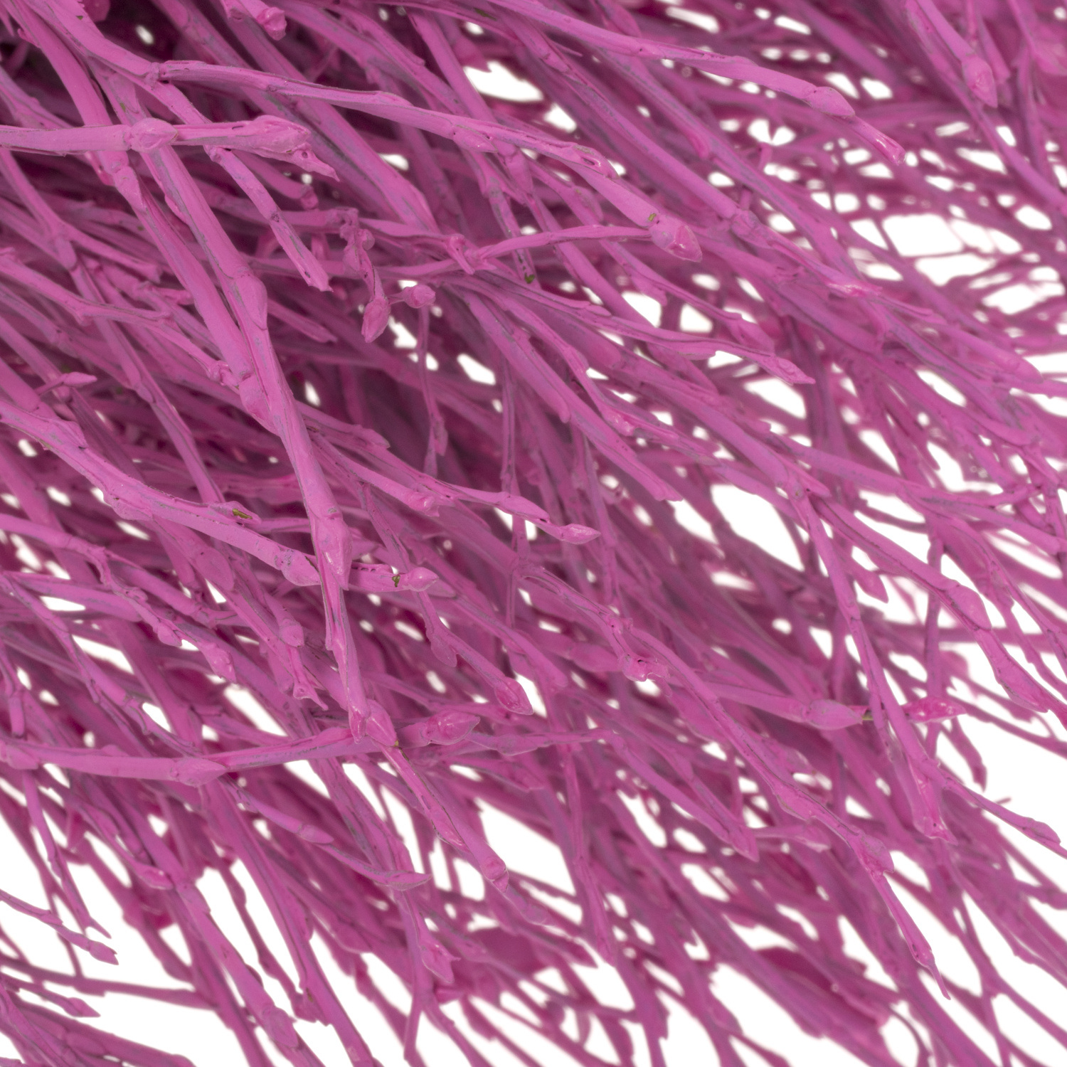 Heidelbeere cerise gefärbt