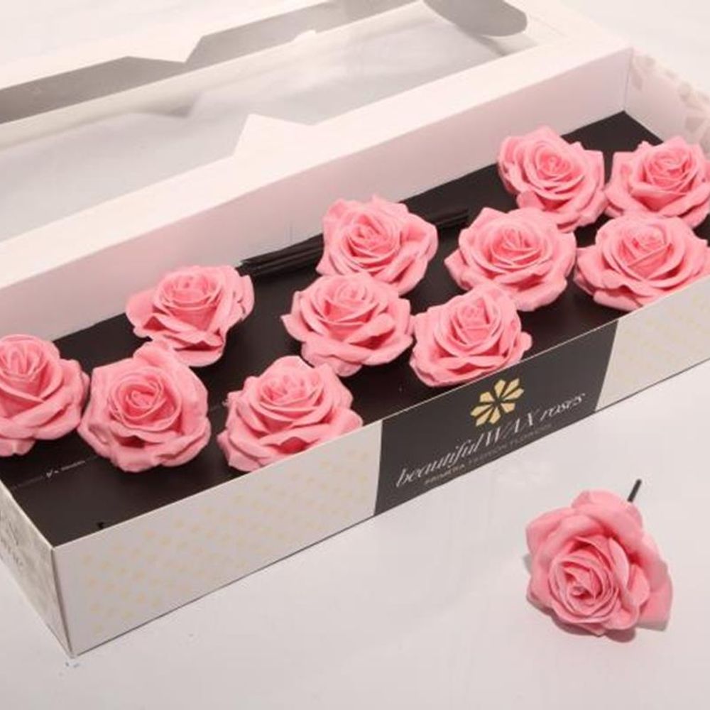 Seiden Wachs Rose Soft rosa D10cm (9442)