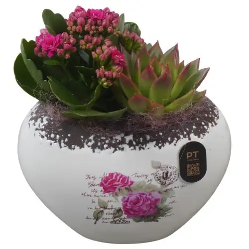 Kal.Arr PTIB5203 T15 H018