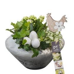 Kal.Arr PTPG9356 Ostern T19 H018