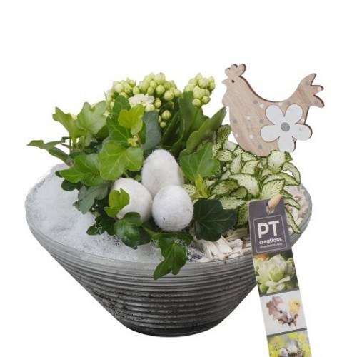 Kal.Arr PTPG9356 Ostern T19 H018