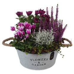 Garten.Arr PTHO7624 T27 H031