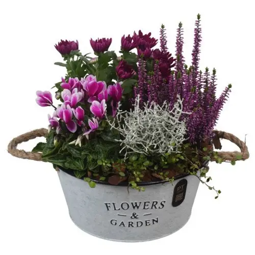 Garten.Arr PTHO7624 T27 H031
