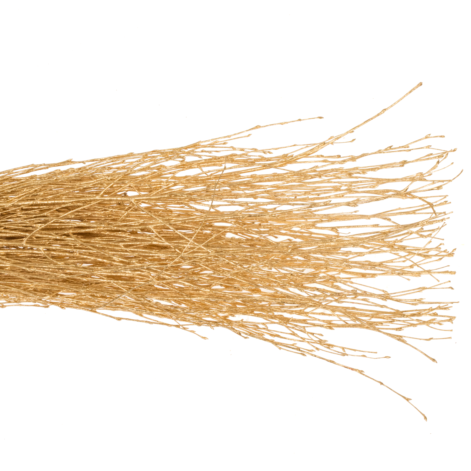 Birke  gold antik gefärbt 70cm