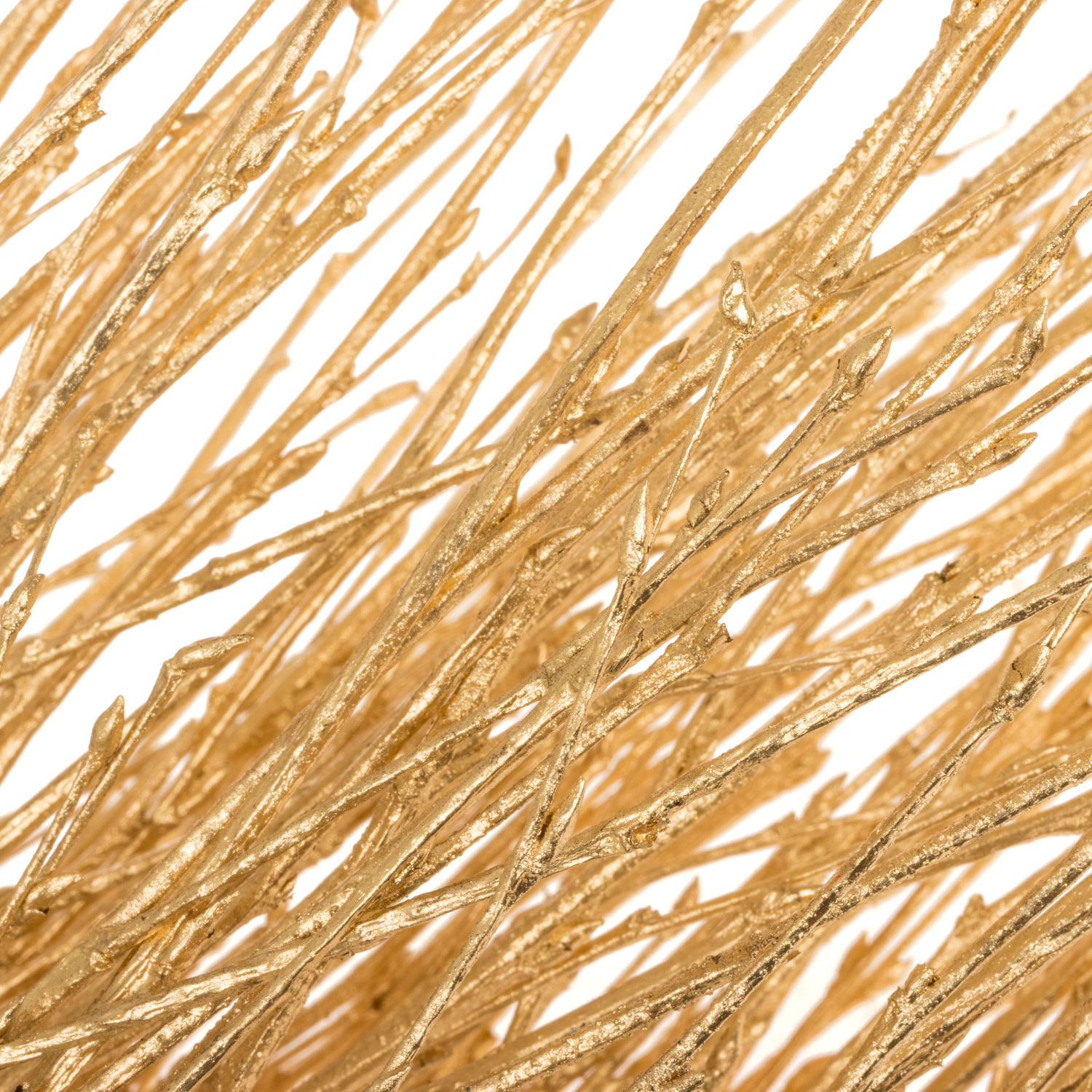 Birke  gold antik gefärbt 70cm