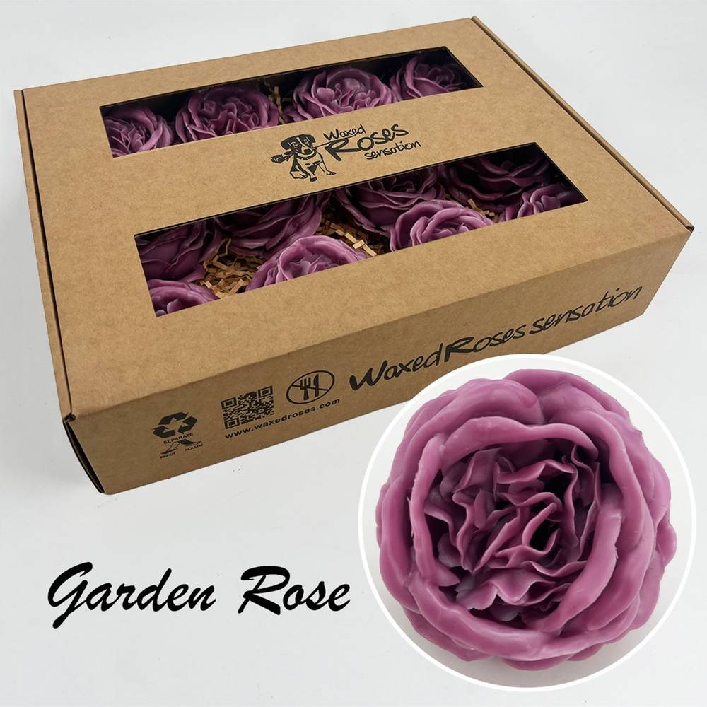 Seiden Wachs Gartenrose lila