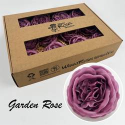 Seiden Wachs Gartenrose lila