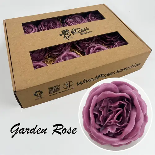Seiden Wachs Gartenrose lila